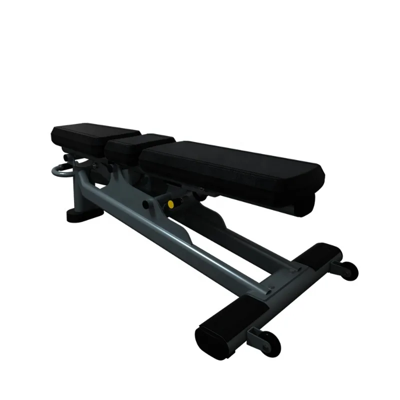 Adjustable Dumbbells - Panca Professionale Regolabile per Sollevamento Pesi,