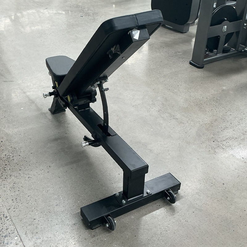 Panca per Manubri Regolabile p - Adjustable Dumbbells recensione e prezzo