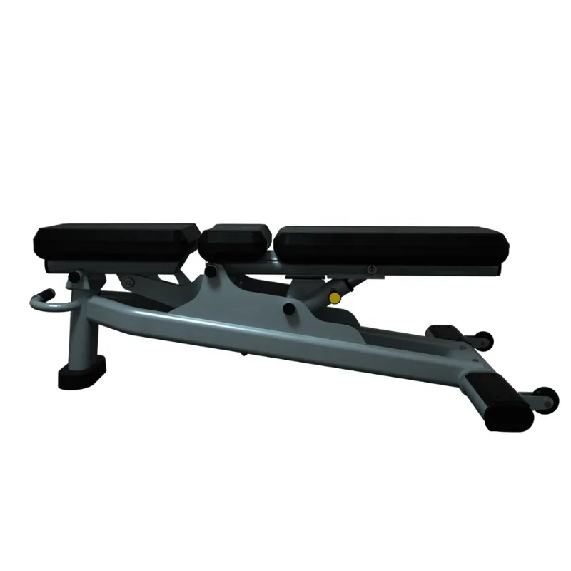 Panca Professionale Regolabile - Adjustable Dumbbells recensione e prezzo